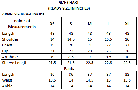 Dina Iris - Luxury Tassel Silk Pakistani Suit - Pre-Order - View 4