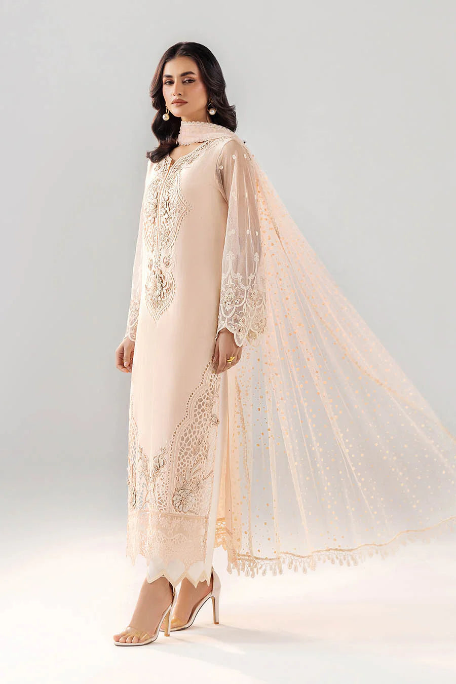 F-193 - Luxury Pakistani Suit - Pre-Order - View 2