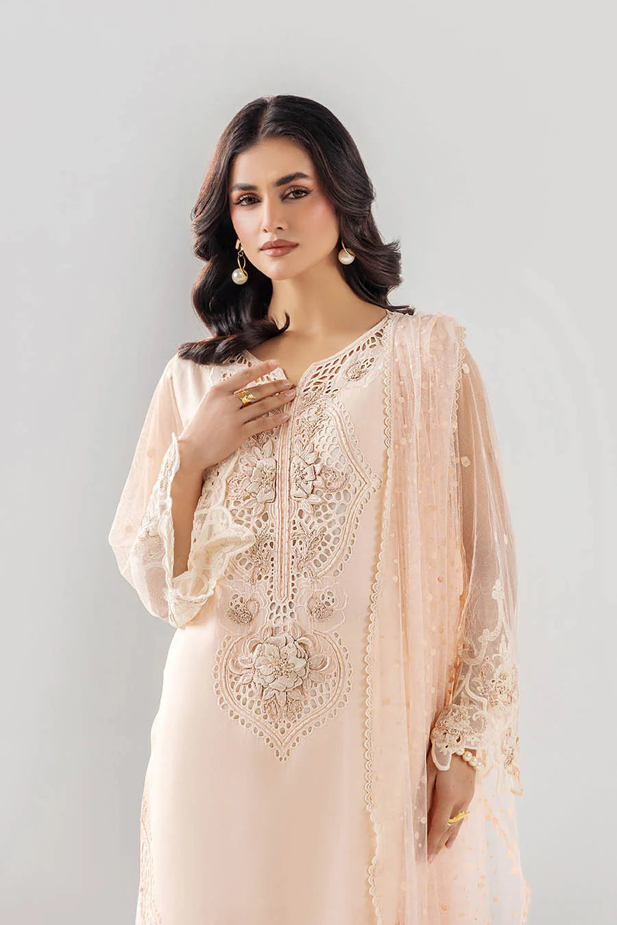 F-193 - Luxury Pakistani Suit - Pre-Order - View 4