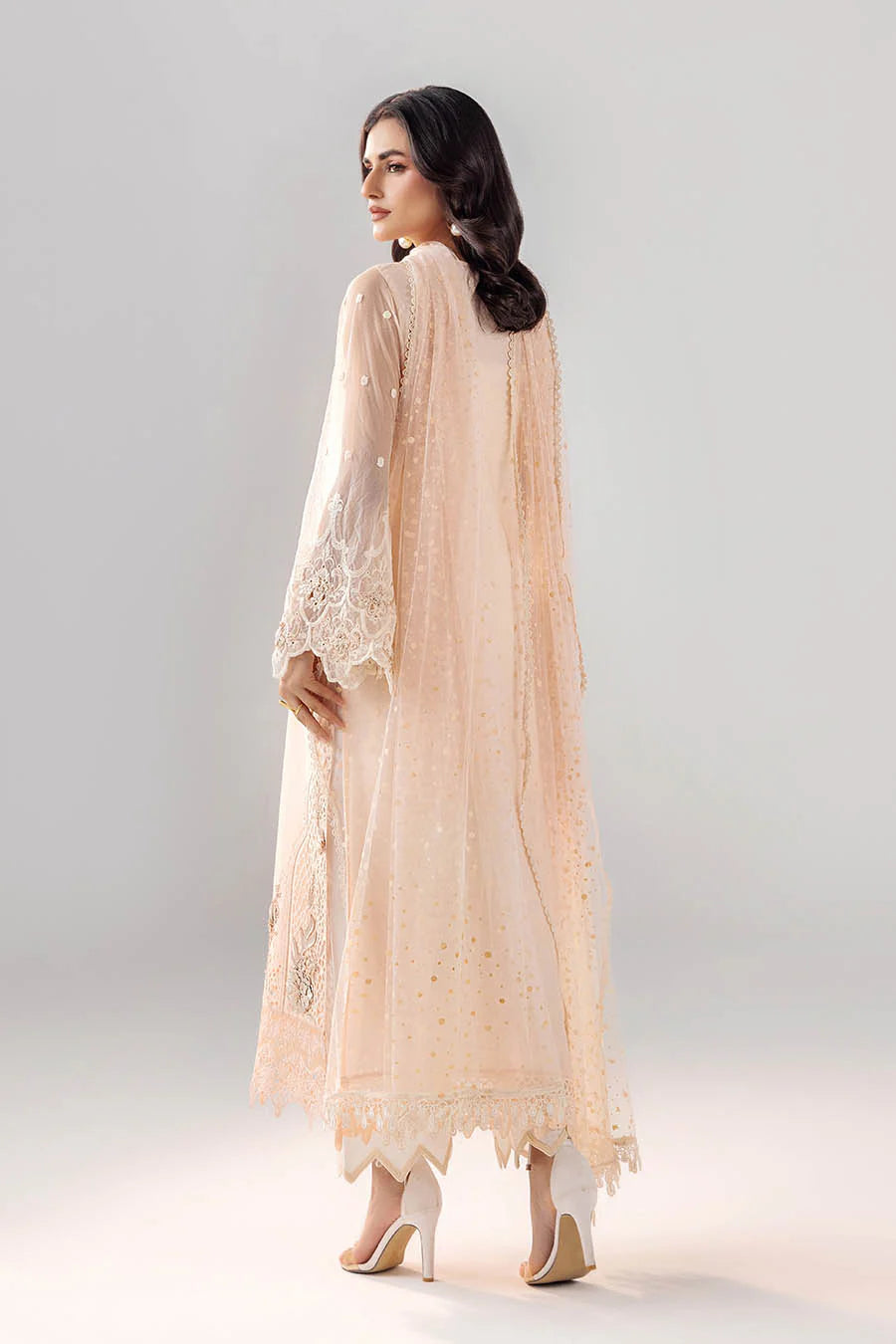 F-193 - Luxury Pakistani Suit - Pre-Order - View 5