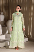 Fairy Fern Women’s Festive Wear Outfit Elegant Chiffon Dress with Dupatta (PREORDER)